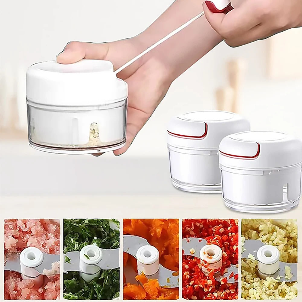 Mini Garlic & Vegetables Slicer Mincing Machine