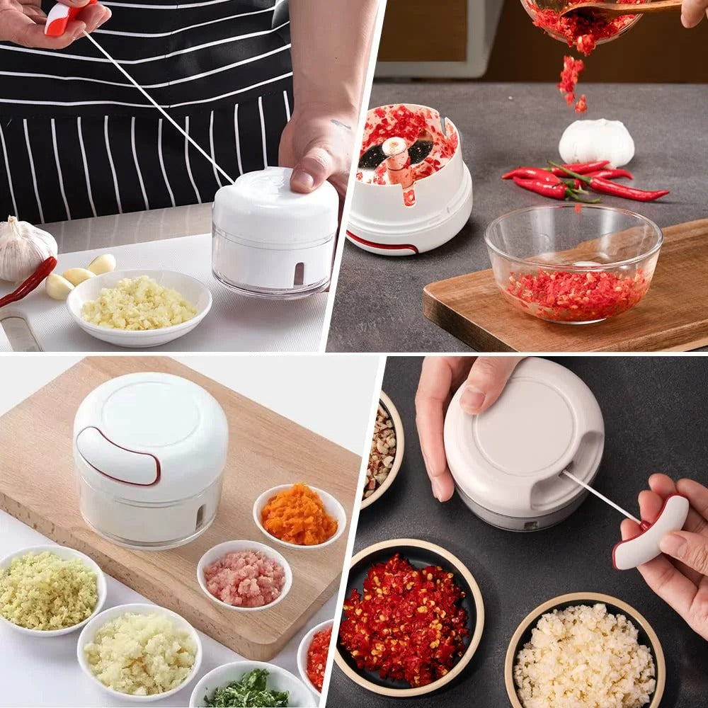 Mini Garlic & Vegetables Slicer Mincing Machine