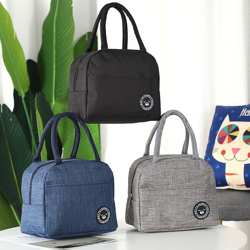 Insulated Food Storage Bag/ Lunch Box (Hot or Cold) For Office/ Picnic/Tour