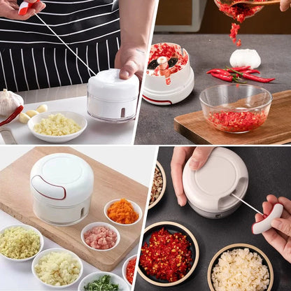 Mini Garlic & Vegetables Slicer Mincing Machine